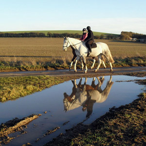 Horse Riding in Sussex